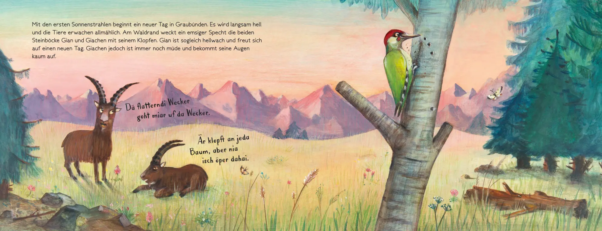 Bild: 9783314104374 | Gian und Giachen und der Sternschnuppenberg | Amélie Jackowski | Buch