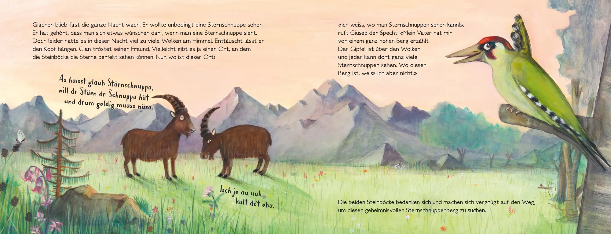 Bild: 9783314104374 | Gian und Giachen und der Sternschnuppenberg | Amélie Jackowski | Buch
