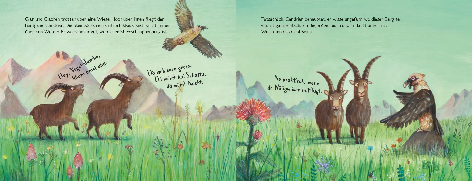 Bild: 9783314104374 | Gian und Giachen und der Sternschnuppenberg | Amélie Jackowski | Buch