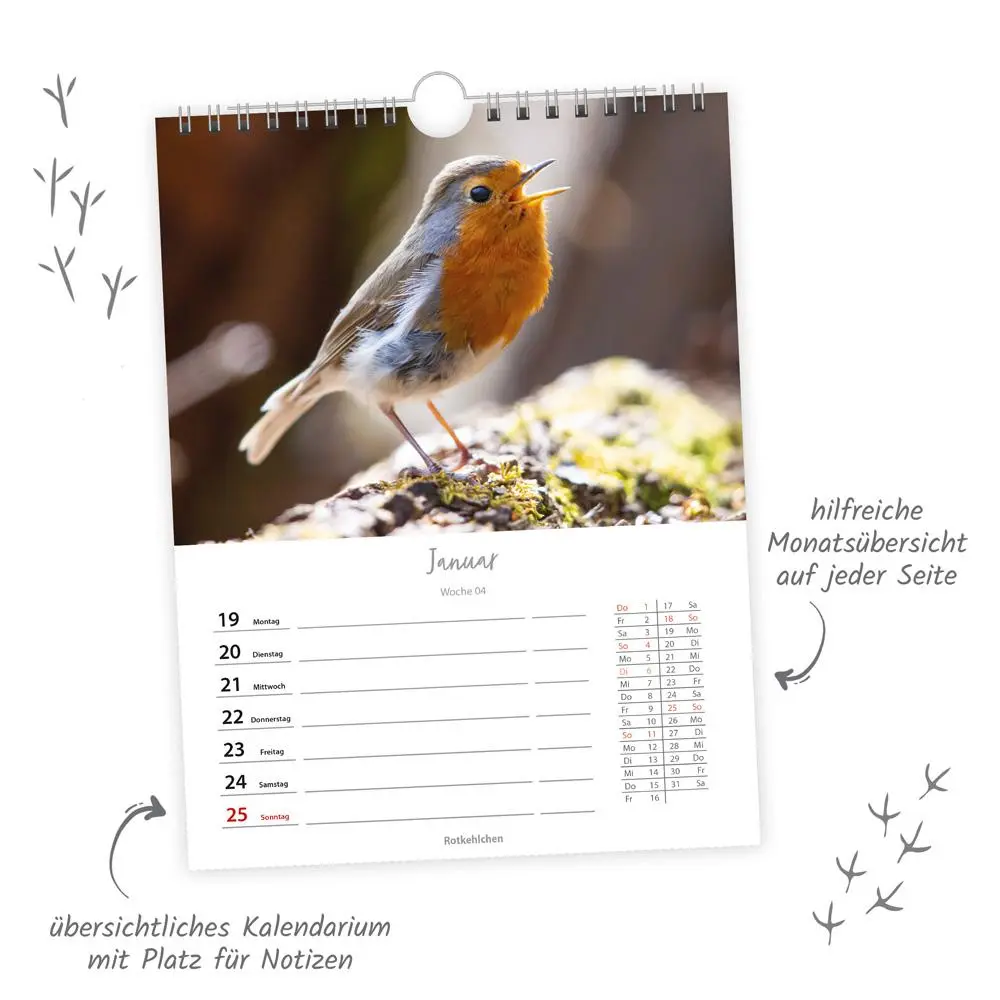 Bild: 9783988024374 | Trötsch Wochenkalender zum Hängen Heimische Vögel 2026 | Wandkalender