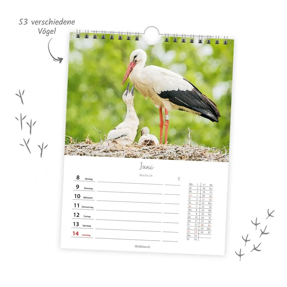 Bild: 9783988024374 | Trötsch Wochenkalender zum Hängen Heimische Vögel 2026 | Wandkalender