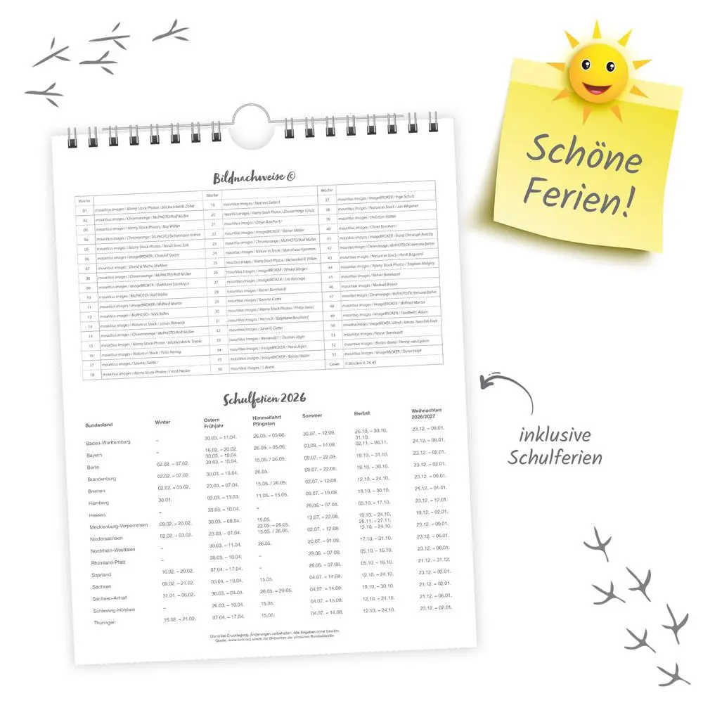 Bild: 9783988024374 | Trötsch Wochenkalender zum Hängen Heimische Vögel 2026 | Wandkalender