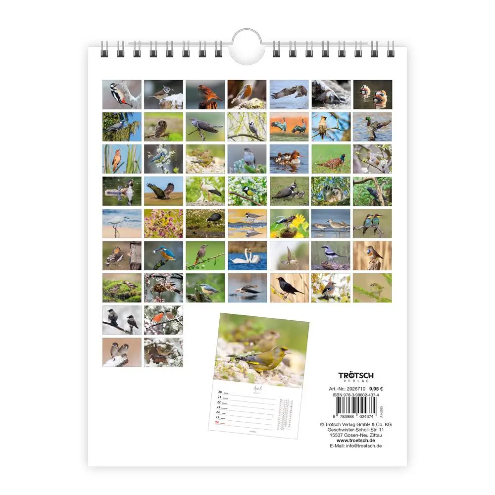 Bild: 9783988024374 | Trötsch Wochenkalender zum Hängen Heimische Vögel 2026 | Wandkalender