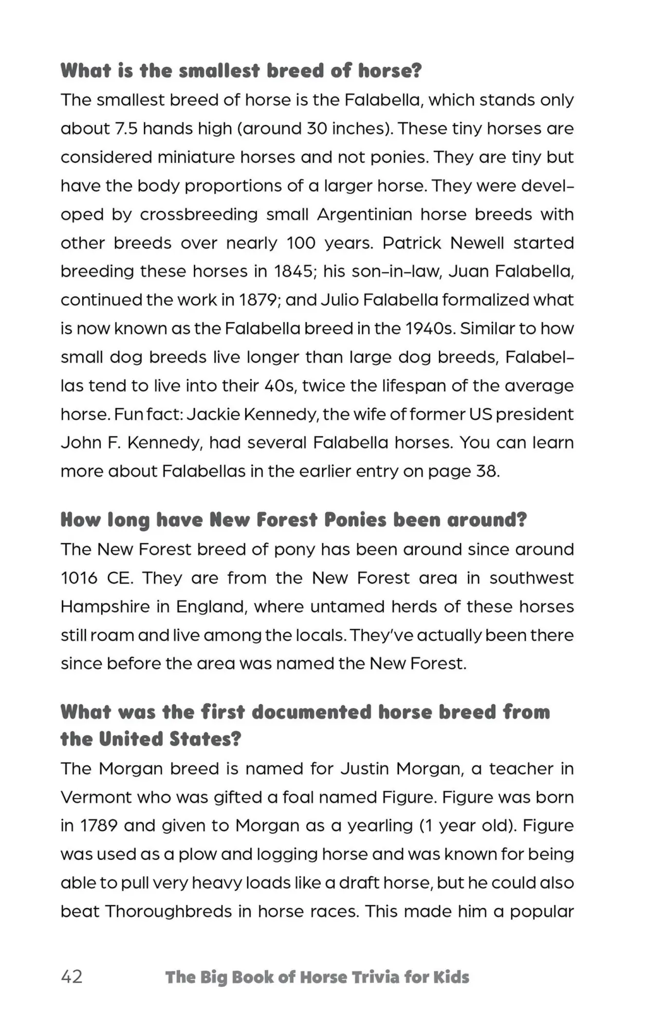 Bild: 9781646044474 | Big Book of Horse Trivia for Kids | Bernadette Johnson | Taschenbuch