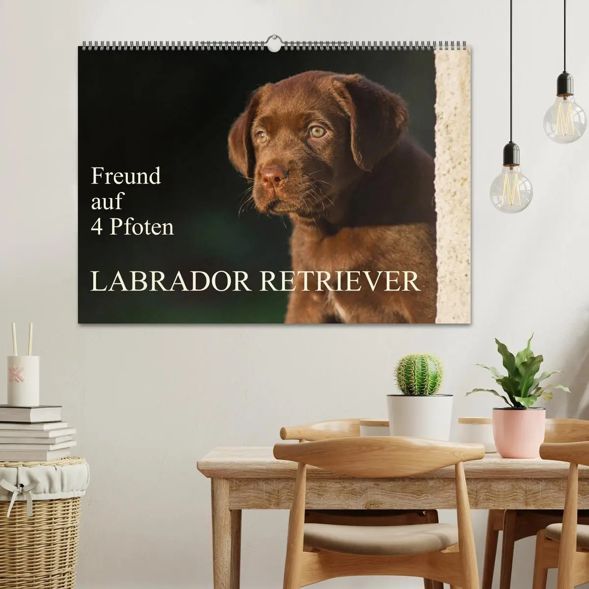 Bild: 9783457824474 | Freund auf 4 Pfoten - Labrador Retriever (Wandkalender 2026 DIN A2...