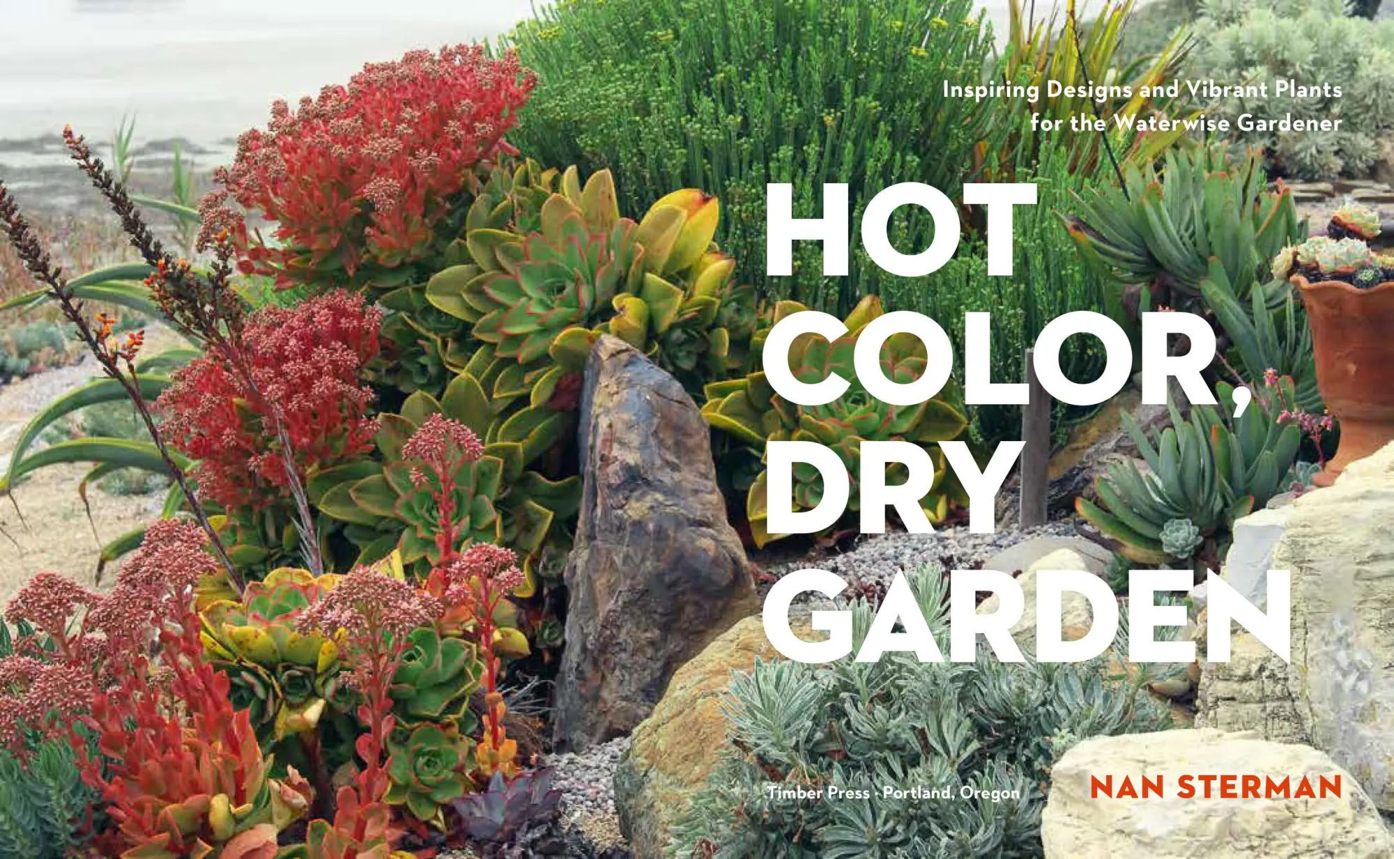 Bild: 9781604694574 | Hot Color, Dry Garden | Nan Sterman | Taschenbuch | Englisch | 2018