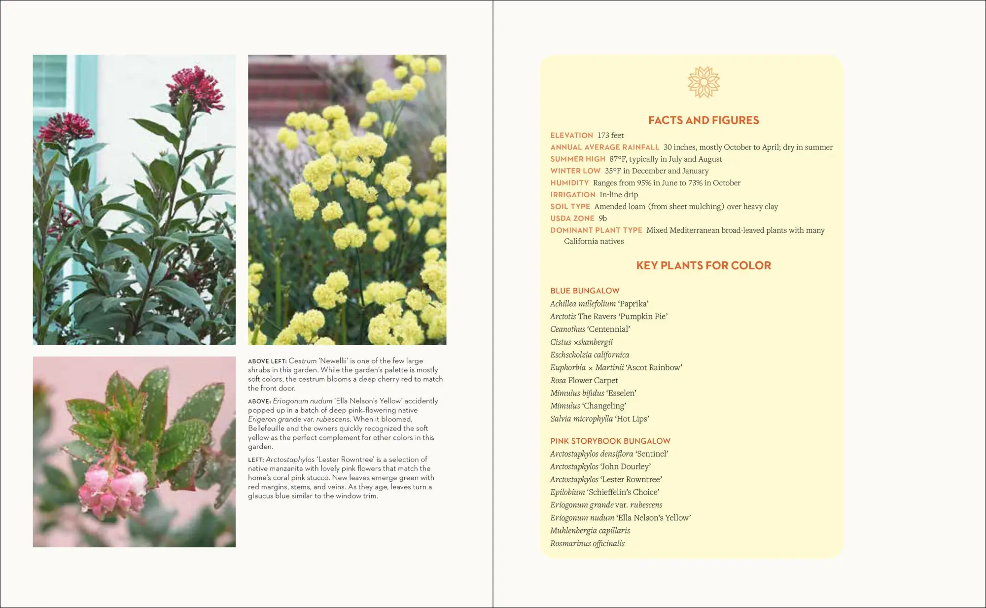 Bild: 9781604694574 | Hot Color, Dry Garden | Nan Sterman | Taschenbuch | Englisch | 2018