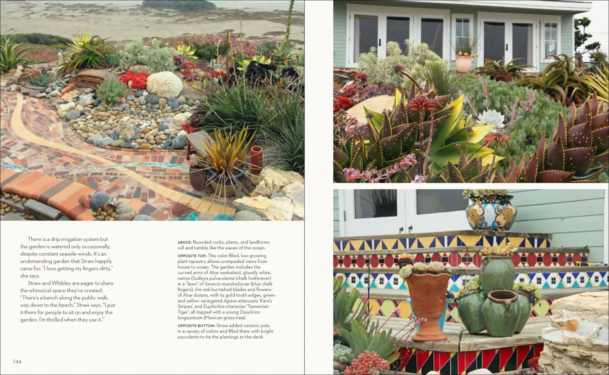 Bild: 9781604694574 | Hot Color, Dry Garden | Nan Sterman | Taschenbuch | Englisch | 2018