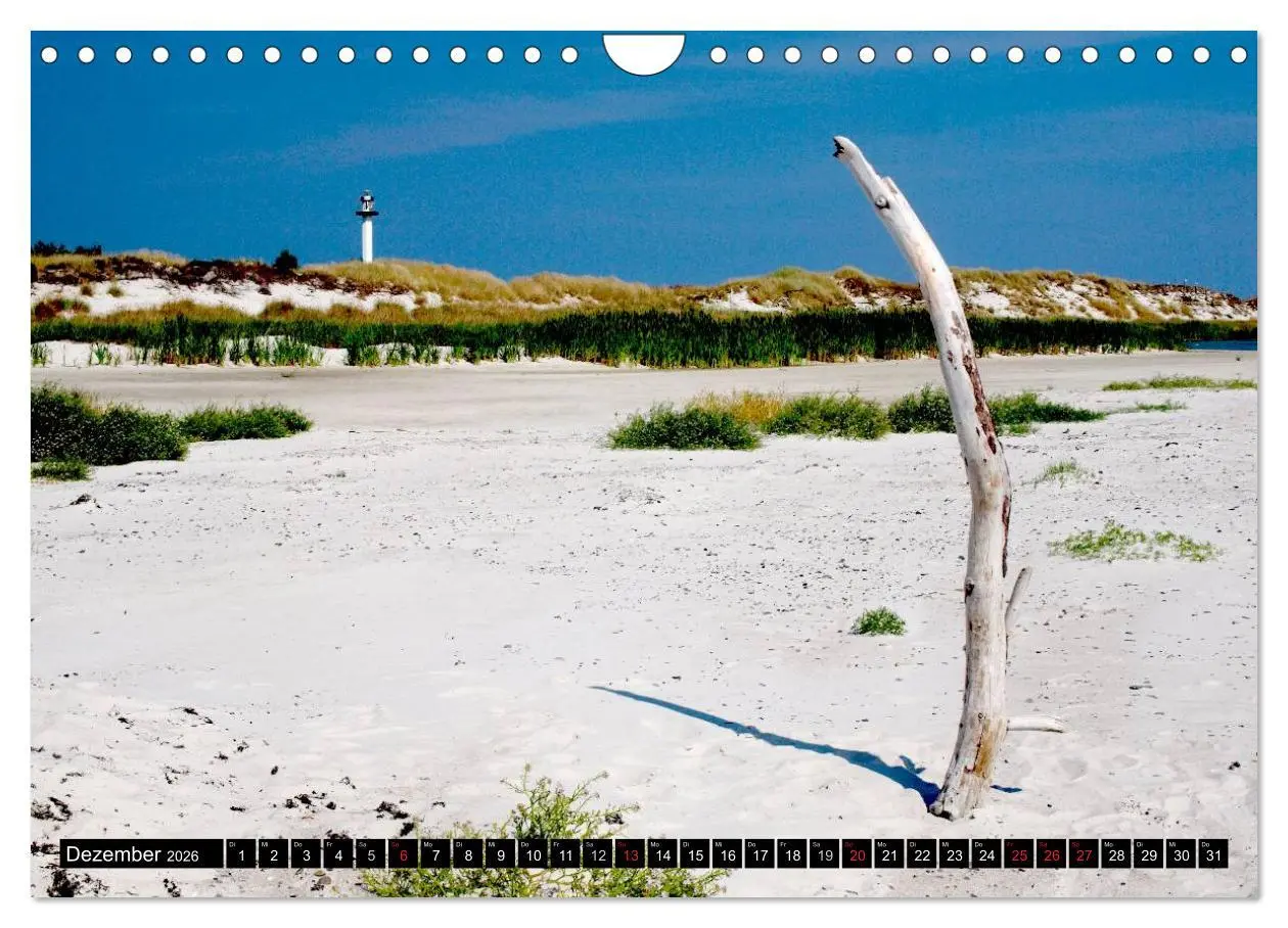 Bild: 9783516074574 | Bornholm - Dänemark (Wandkalender 2026 DIN A4 quer), CALVENDO...