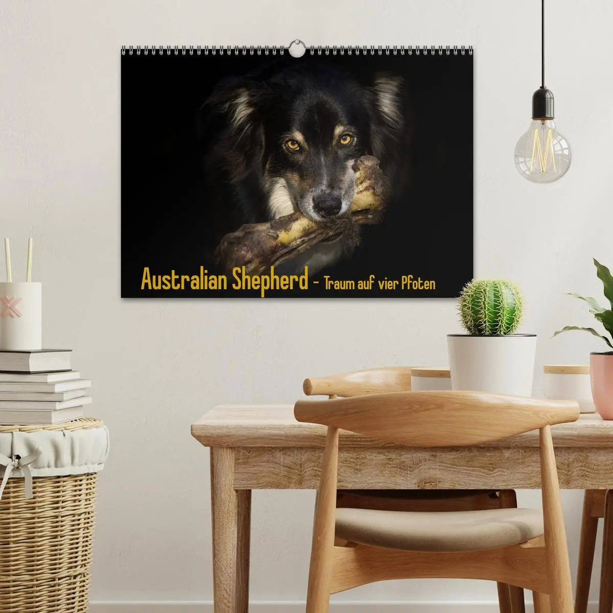 Bild: 9783516134674 | Australian Shepherd - Traum auf vier Pfoten (Wandkalender 2026 DIN...