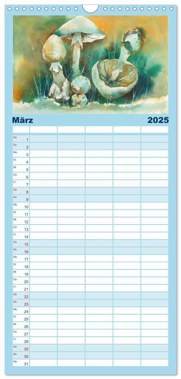 Bild: 9783457104774 | Familienplaner 2025 - Pilze in Aquarell mit 5 Spalten...