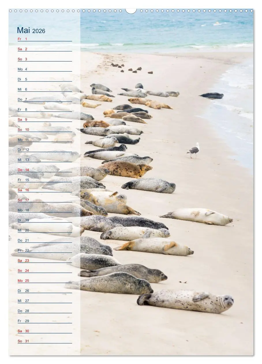 Bild: 9783516364774 | Maritim - Geburtstagskalender (hochwertiger Premium Wandkalender...