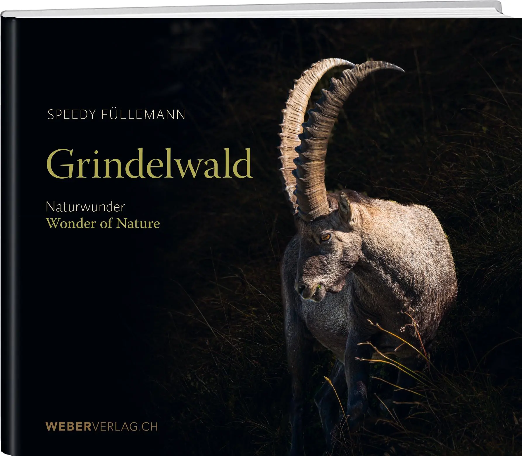 Cover: 9783038184874 | Grindelwald | Naturwunder/Wonder of Nature | Speedy Füllemann | Buch