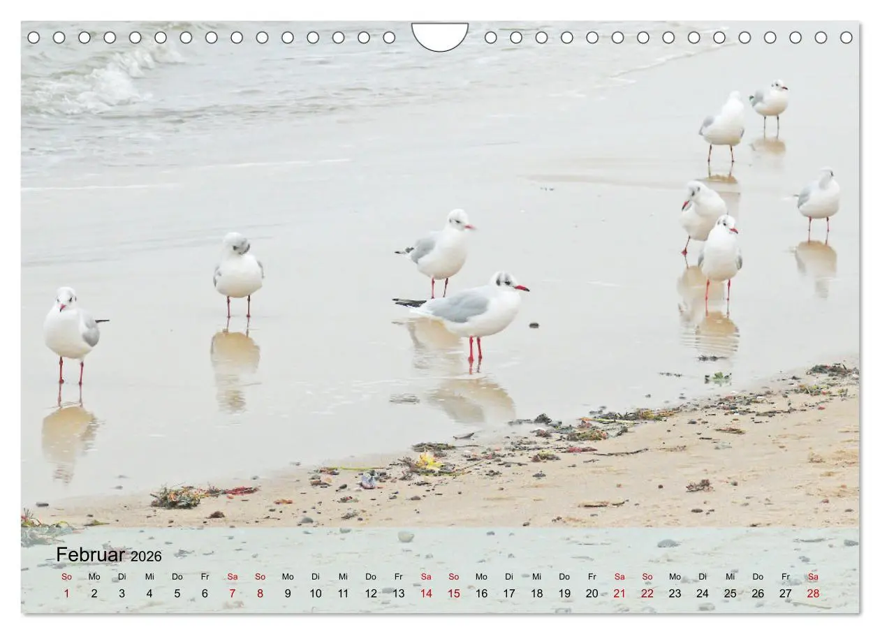 Bild: 9783457574874 | Ostseebad Kühlungsborn. Erholung mit allen Sinnen (Wandkalender...