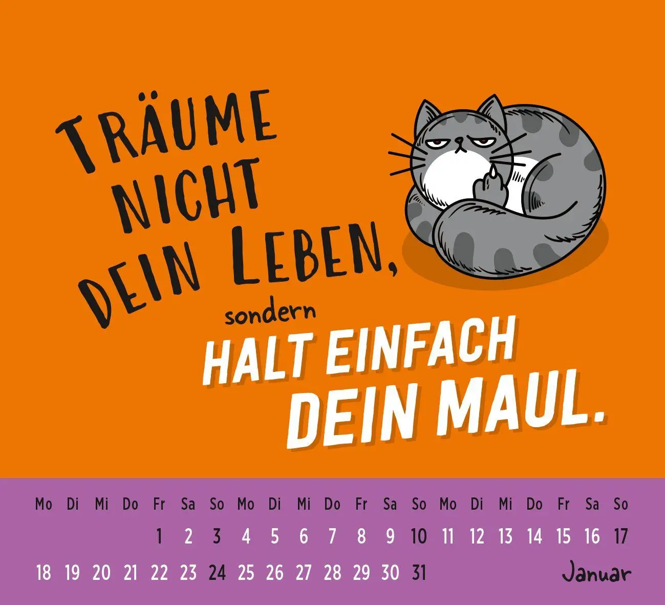 Bild: 4036442014974 | Mini-Kalender 2027: Neues Jahr neues ... ach halt die Klappe! | Verlag