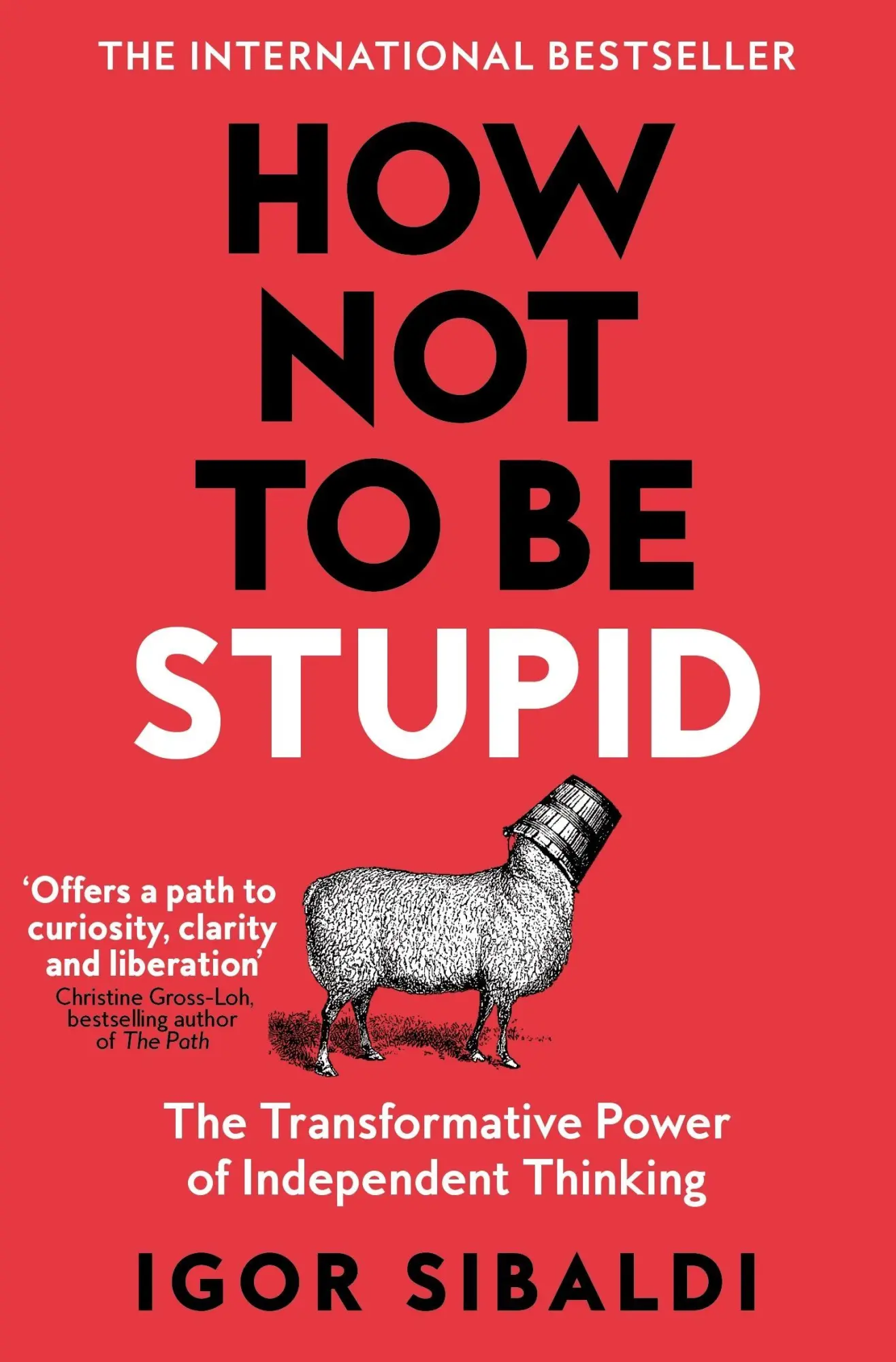 Cover: 9781035094974 | How Not To Be Stupid | Igor Sibaldi | Taschenbuch | 208 S. | Englisch