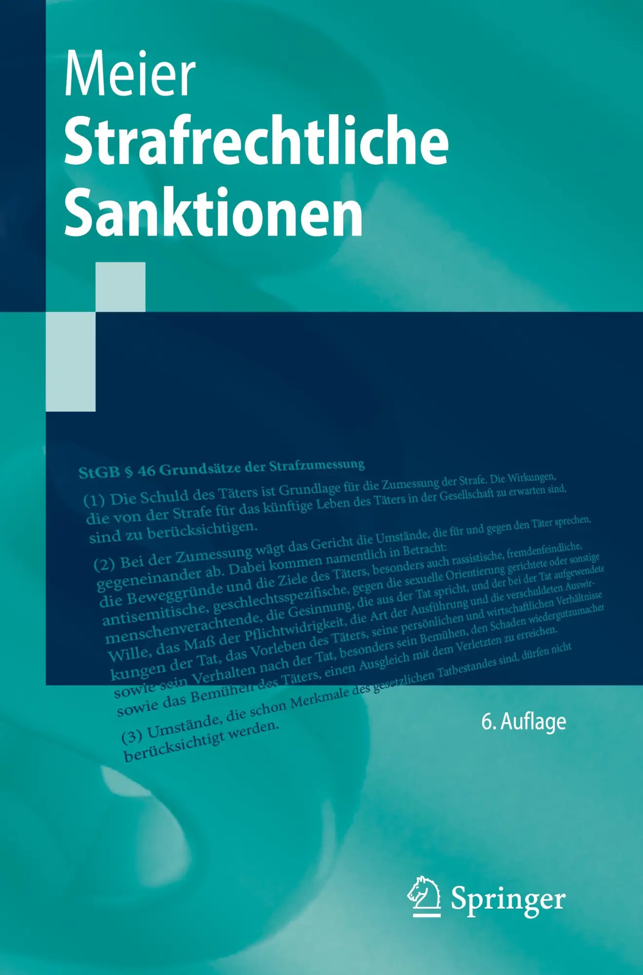 Cover: 9783662704974 | Strafrechtliche Sanktionen | Bernd-Dieter Meier | Taschenbuch | xvii