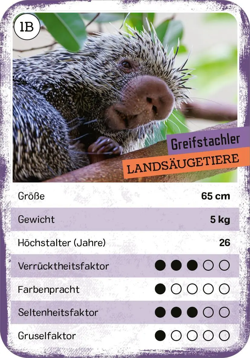 Bild: 4014489135074 | Das verrückte Quartett | Tier-Quartett und Trumpf-Kartenspiel | Buck