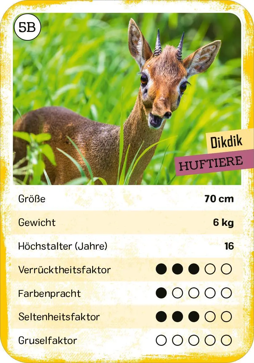 Bild: 4014489135074 | Das verrückte Quartett | Tier-Quartett und Trumpf-Kartenspiel | Buck