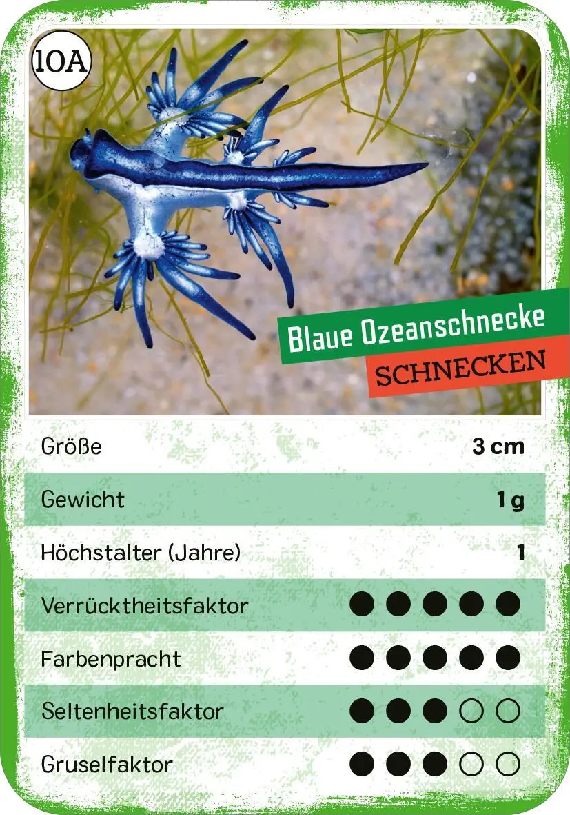 Bild: 4014489135074 | Das verrückte Quartett | Tier-Quartett und Trumpf-Kartenspiel | Buck