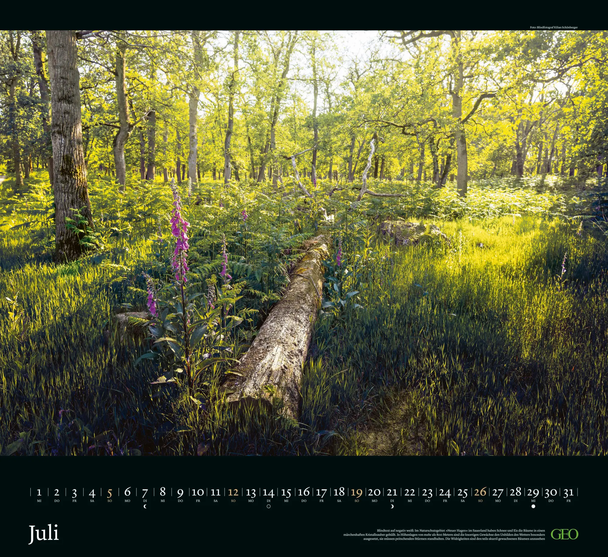 Bild: 4069095005174 | GEO Naturwunder Deutschland 2026 - Wandkalender im Format 60 x 55