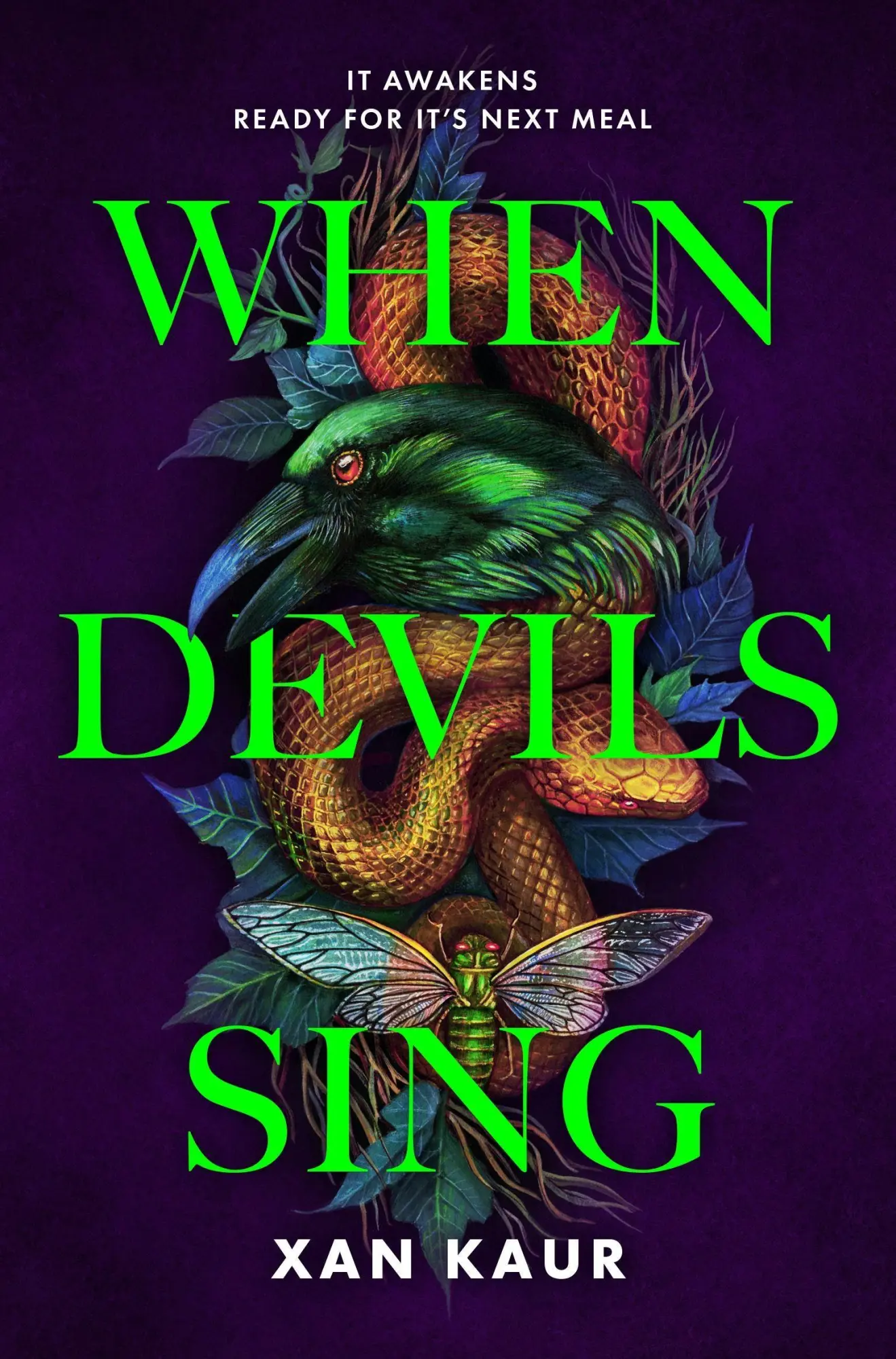 Cover: 9781035045174 | When Devils Sing | Xan Kaur | Taschenbuch | Englisch | 2025