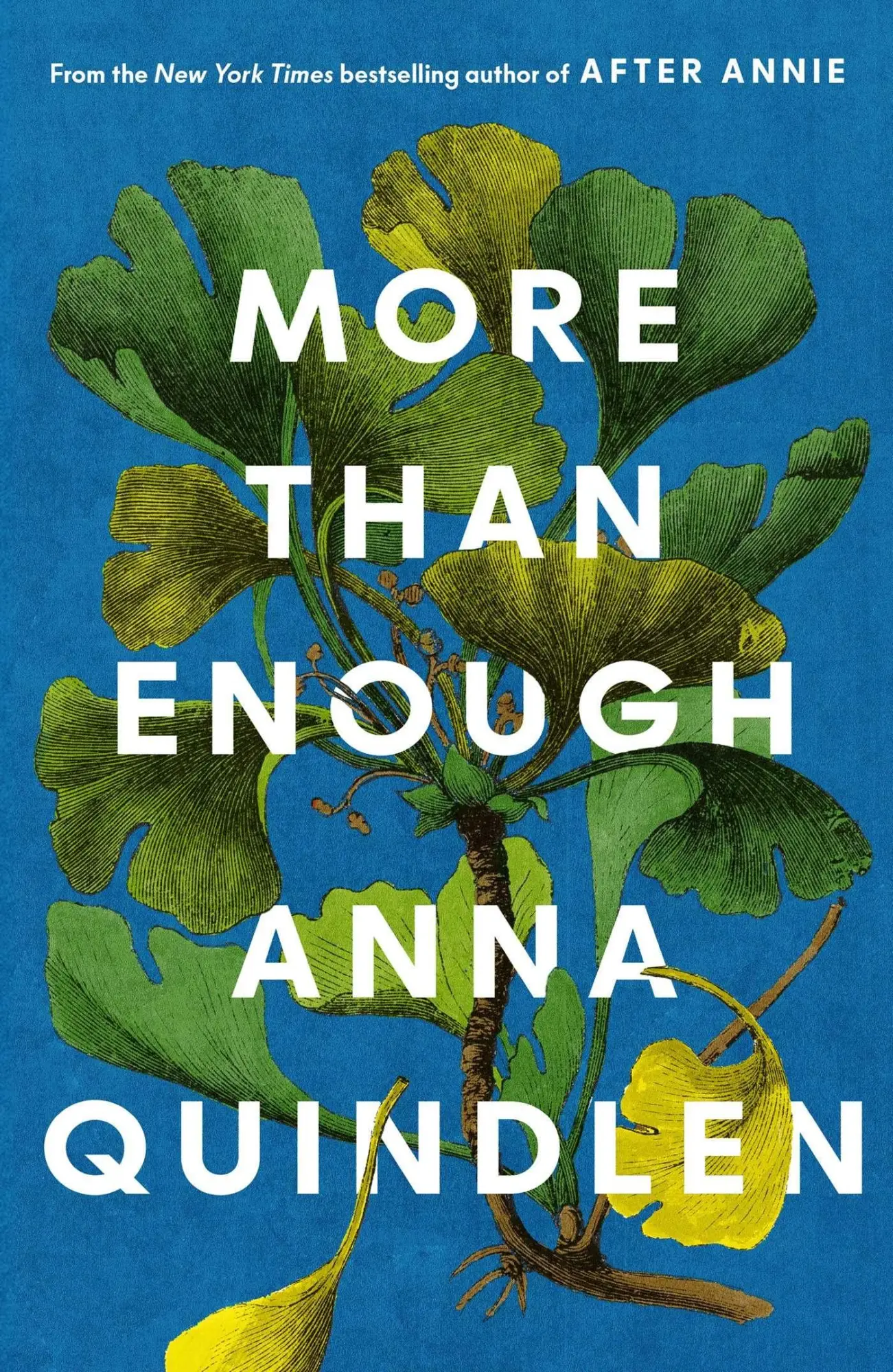 Cover: 9781398555174 | More Than Enough | Anna Quindlen | Buch | 240 S. | Englisch | 2026