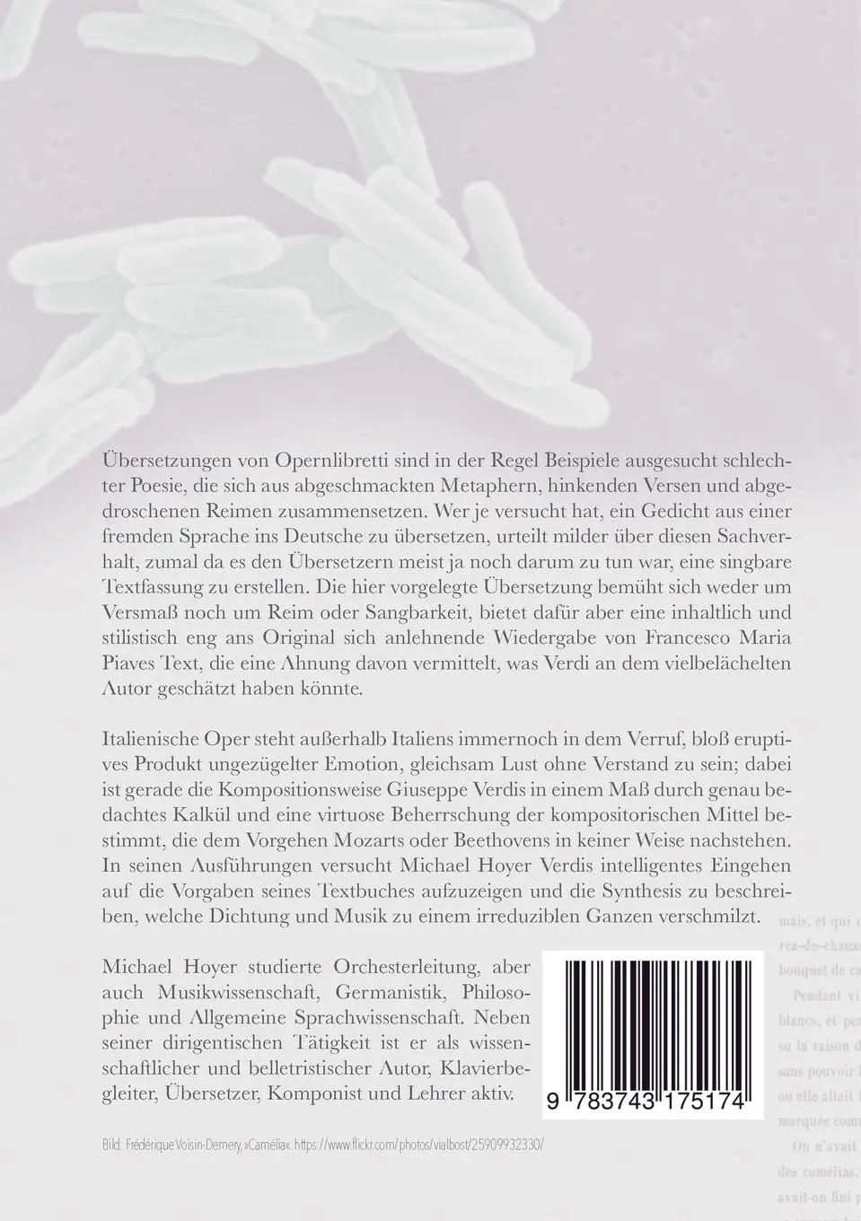 Rückseite: 9783743175174 | Vom Pulsschlag des Universums | Michael Hoyer | Taschenbuch | 72 S.
