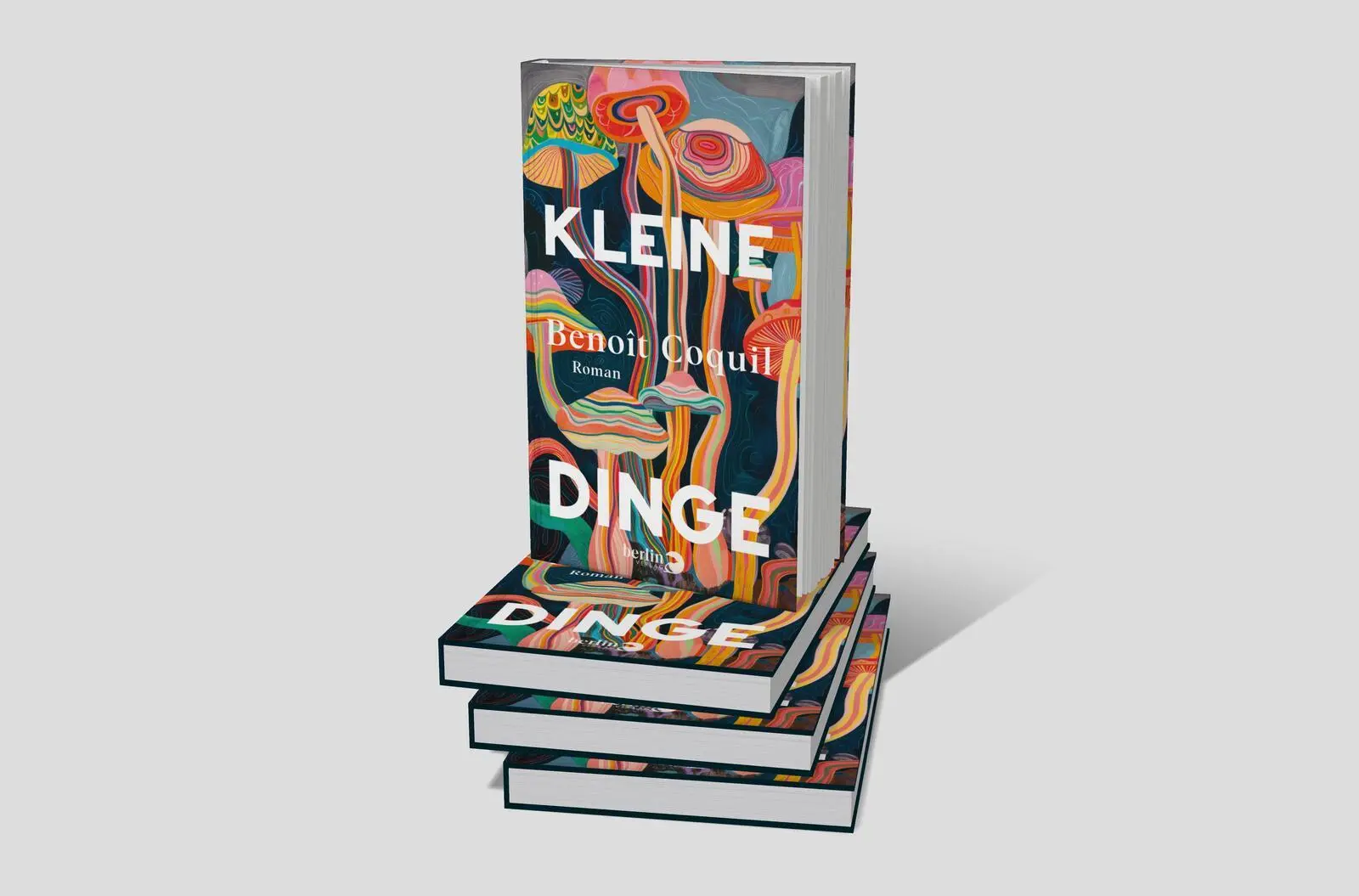 Bild: 9783827015174 | Kleine Dinge | Roman Nominiert für den Prix Premiere | Benoît Coquil