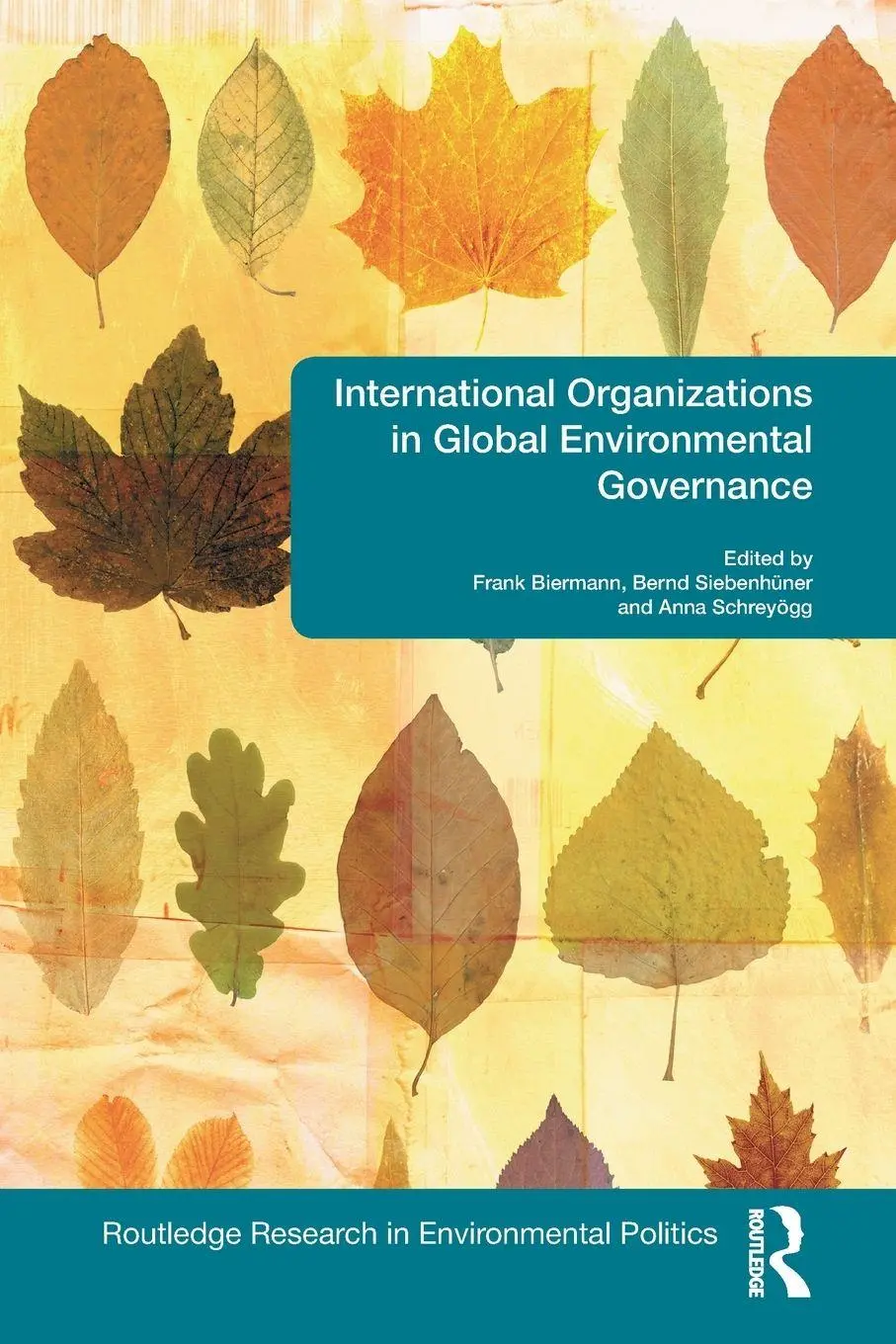 Cover: 9780415845274 | International Organizations in Global Environmental Governance | Buch