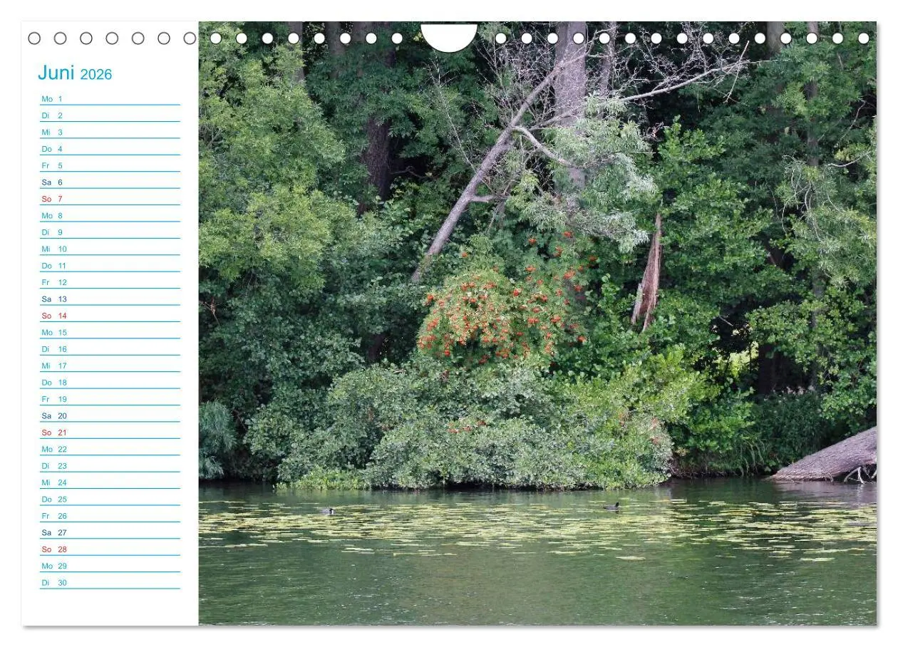 Bild: 9783457985274 | Urlaubsparadies Scharmützelsee (Wandkalender 2026 DIN A4 quer),...