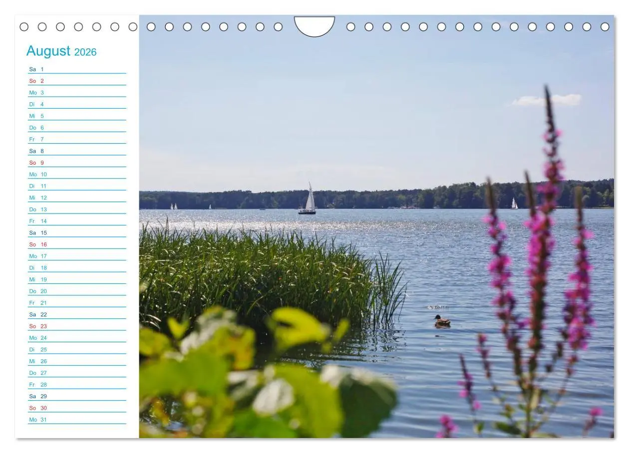 Bild: 9783457985274 | Urlaubsparadies Scharmützelsee (Wandkalender 2026 DIN A4 quer),...