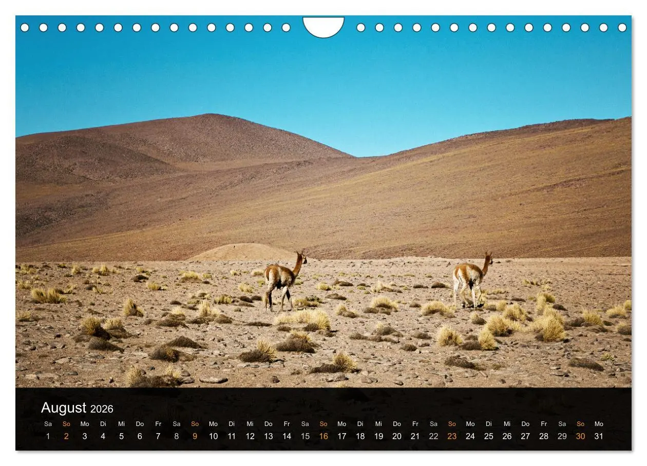 Bild: 9783516075274 | Atacama: Die Wüste im Norden Chiles (Wandkalender 2026 DIN A4...