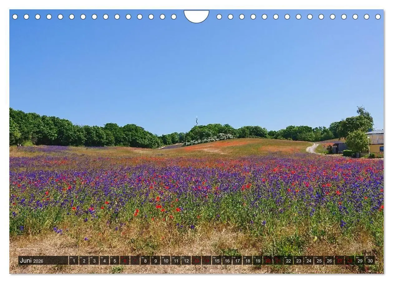 Bild: 9783516695274 | Das Mönchgut und Thiessow (Wandkalender 2026 DIN A4 quer), CALVENDO...