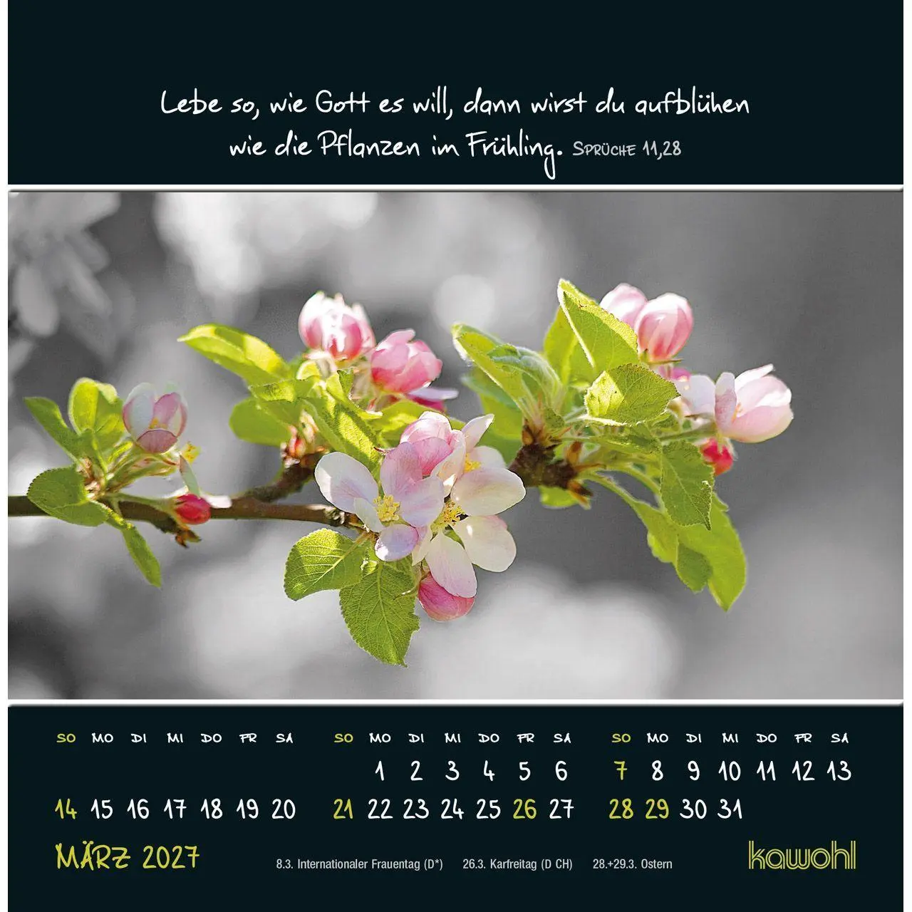 Bild: 9783754815274 | Kleine Wunder sehen 2027 | Postkarten-Kalender mit christlichen Texten