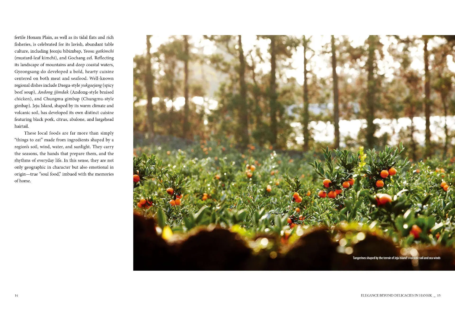 Bild: 9781565915374 | The Four Seasons of Hansik | A Journey to the Heart of Korean Cuisine