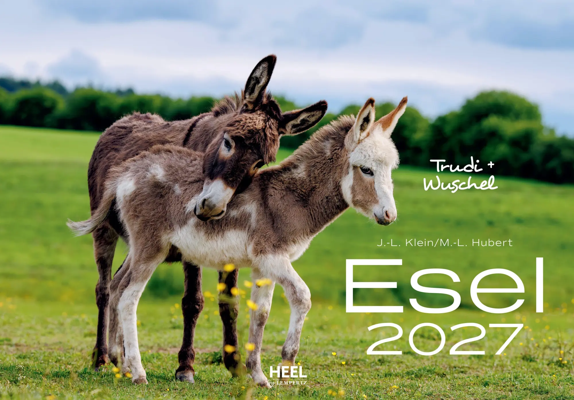 Cover: 9783960585374 | Esel Kalender 2027 | J. -L. Hubert Klein | Kalender | 14 S. | Deutsch