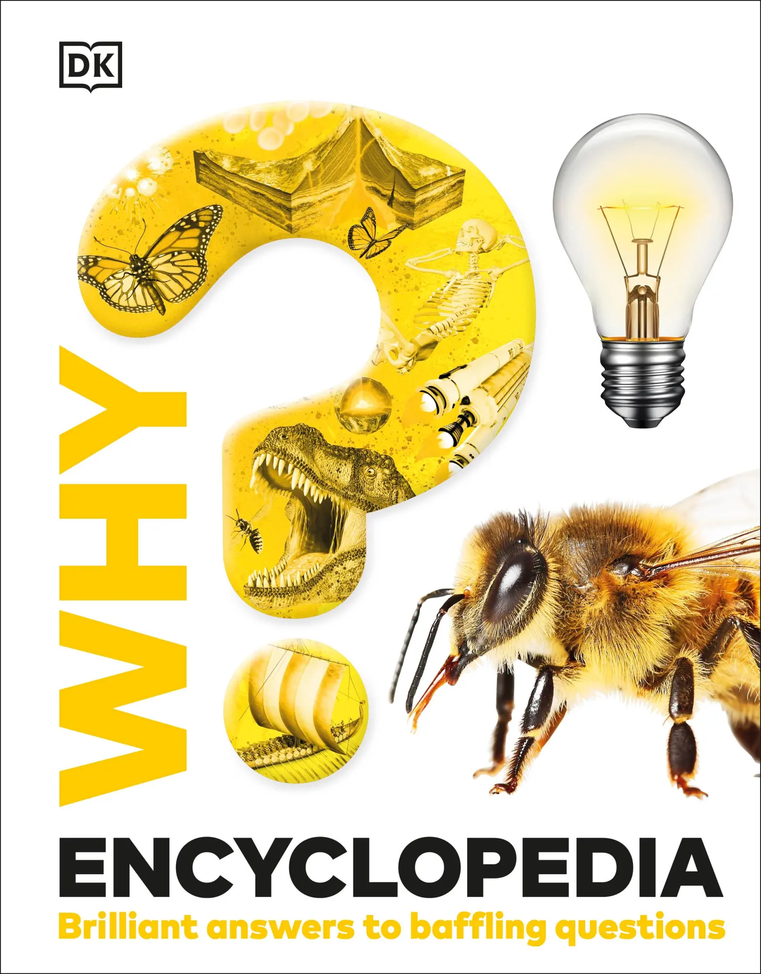 Cover: 9780241655474 | Why? Encyclopedia | Brilliant Answers to Baffling Questions | Dk