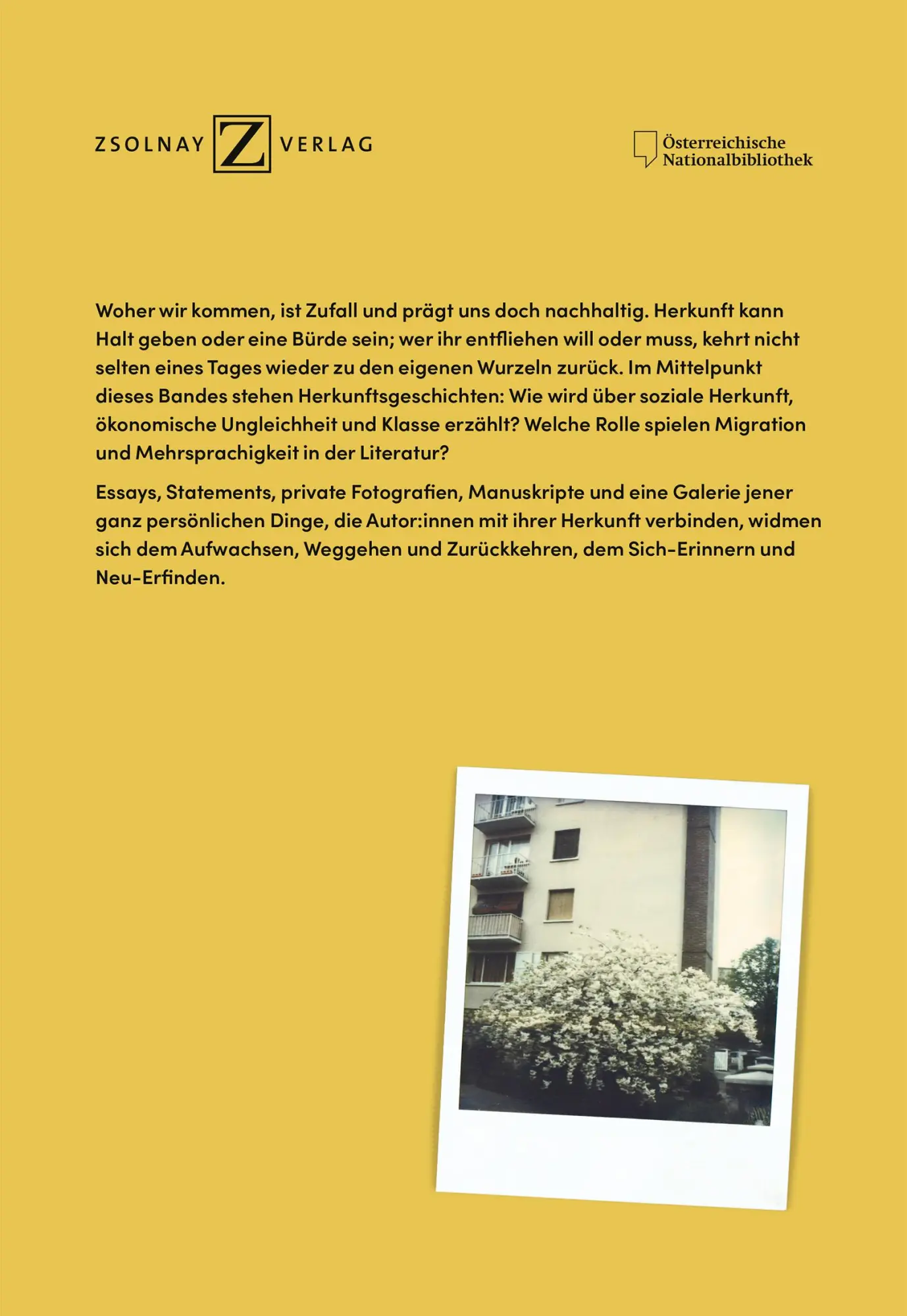 Bild: 9783552075474 | Woher wir kommen | Literatur und Herkunft | Cornelius Mitterer (u. a.)