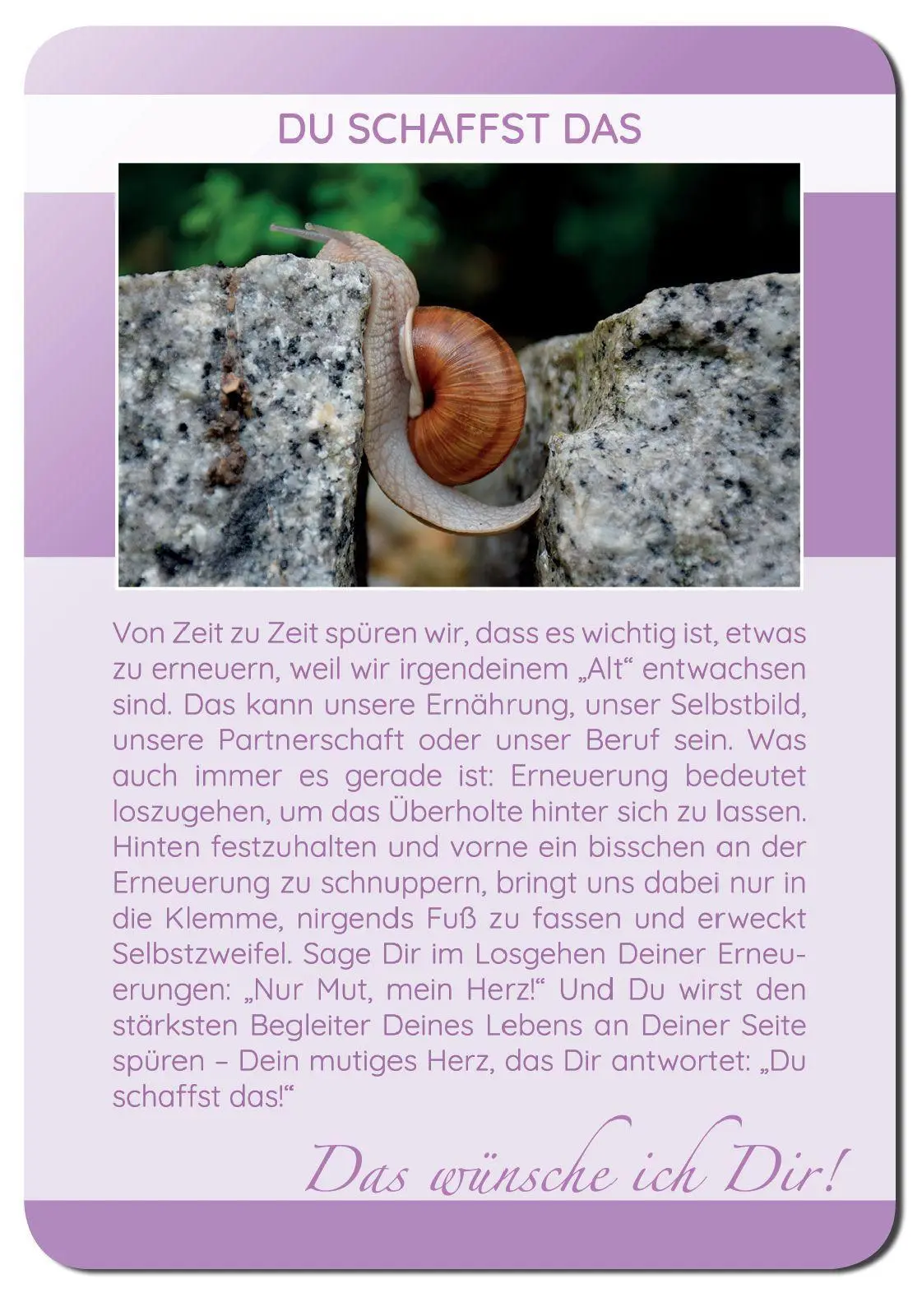 Bild: 9783946265474 | 62 Gute Wünsche Karten Das wünsche ich Dir Achtsamkeitskarten...