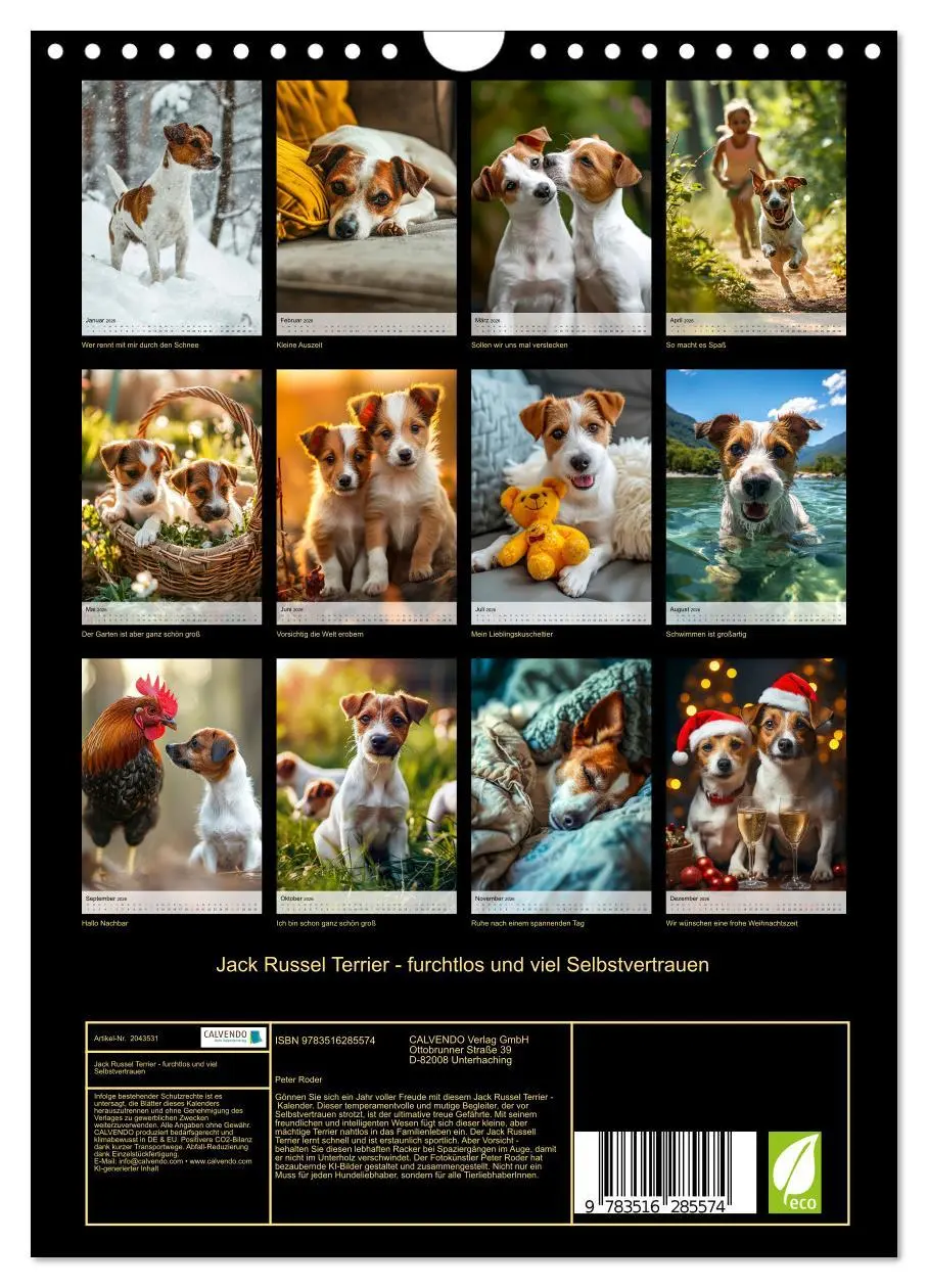 Bild: 9783516285574 | Jack Russel Terrier - furchtlos und viel Selbstvertrauen...