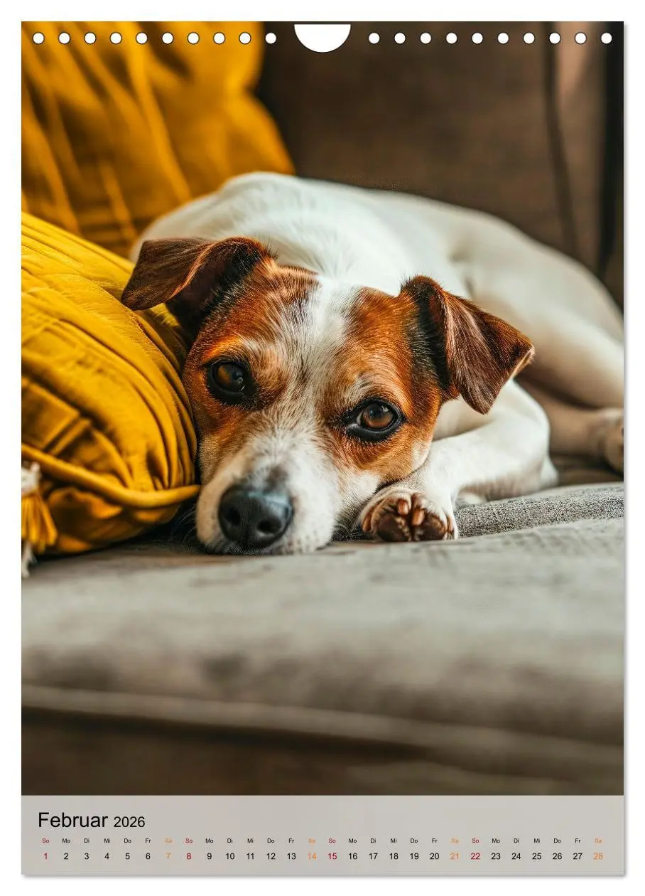 Bild: 9783516285574 | Jack Russel Terrier - furchtlos und viel Selbstvertrauen...