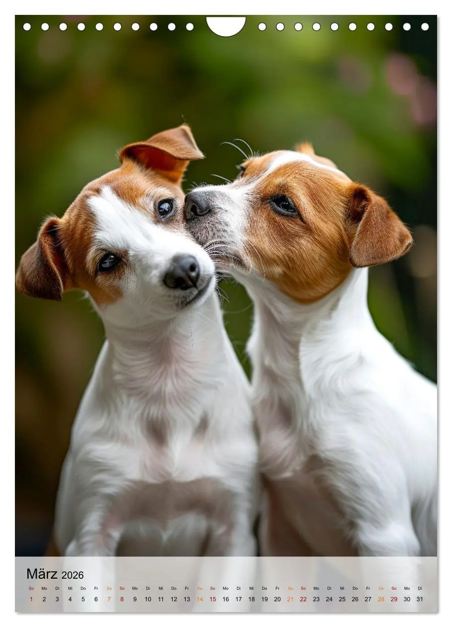 Bild: 9783516285574 | Jack Russel Terrier - furchtlos und viel Selbstvertrauen...