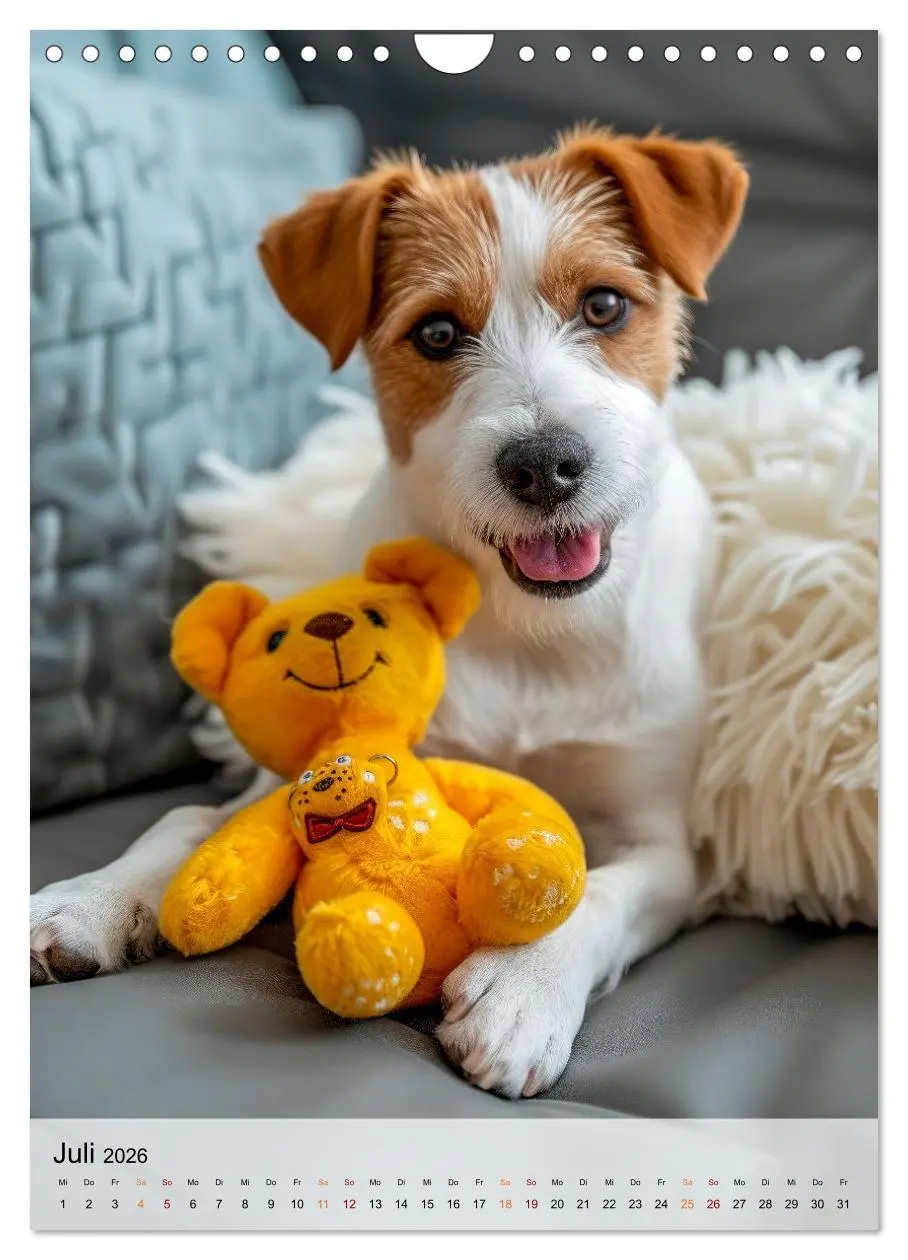 Bild: 9783516285574 | Jack Russel Terrier - furchtlos und viel Selbstvertrauen...