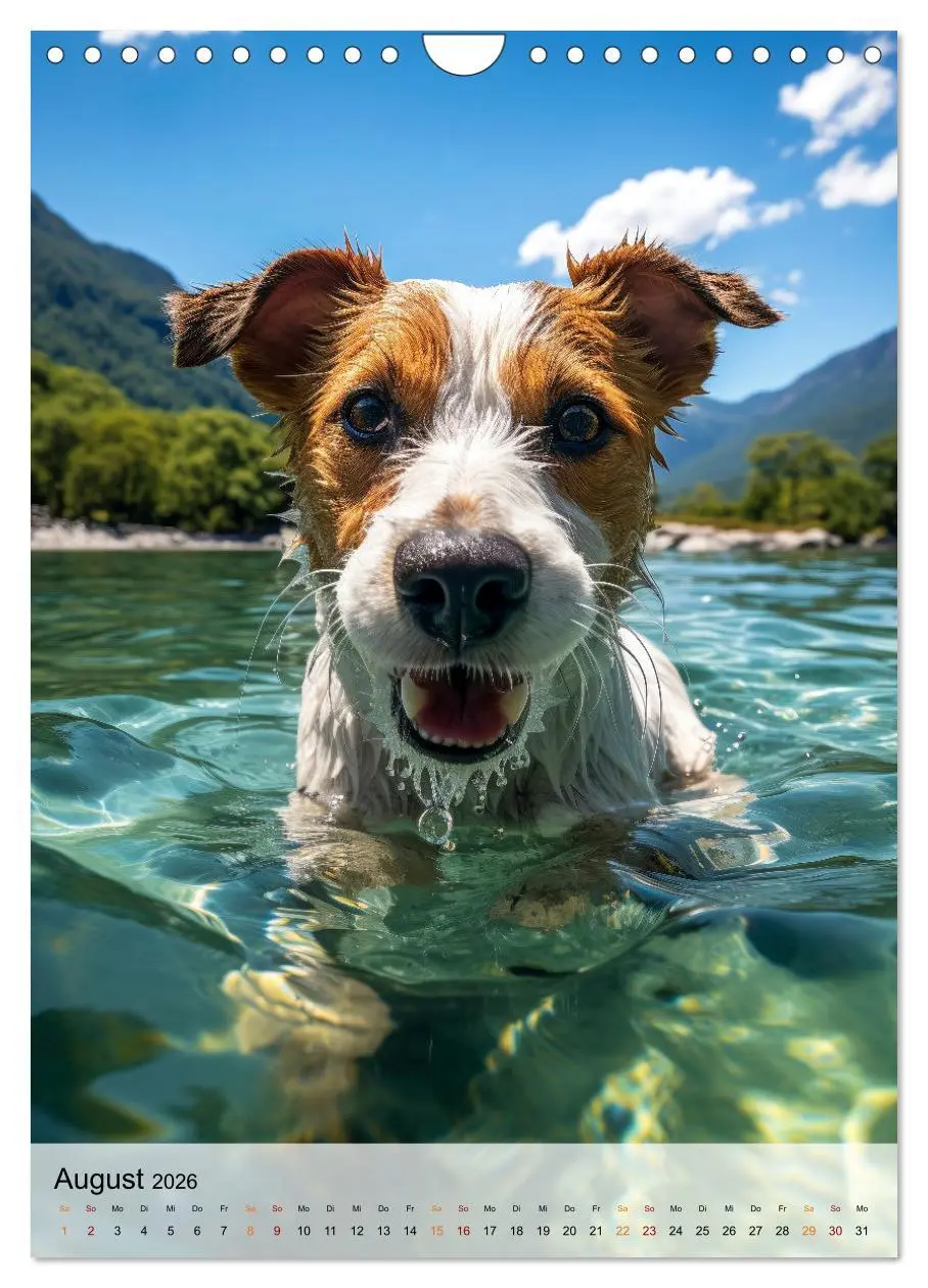 Bild: 9783516285574 | Jack Russel Terrier - furchtlos und viel Selbstvertrauen...