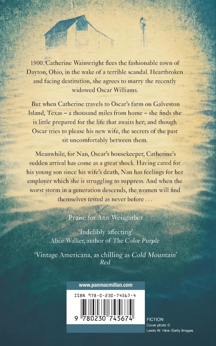Rückseite: 9780230745674 | The Promise | Ann Weisgarber | Taschenbuch | 309 S. | Englisch | 2014