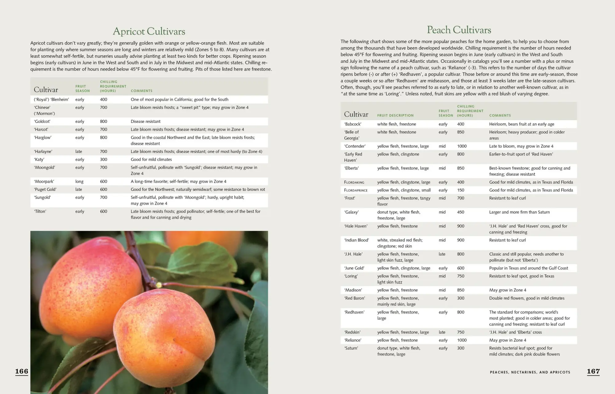 Bild: 9781603425674 | The Fruit Gardener's Bible | Lewis Hill (u. a.) | Taschenbuch | 2011