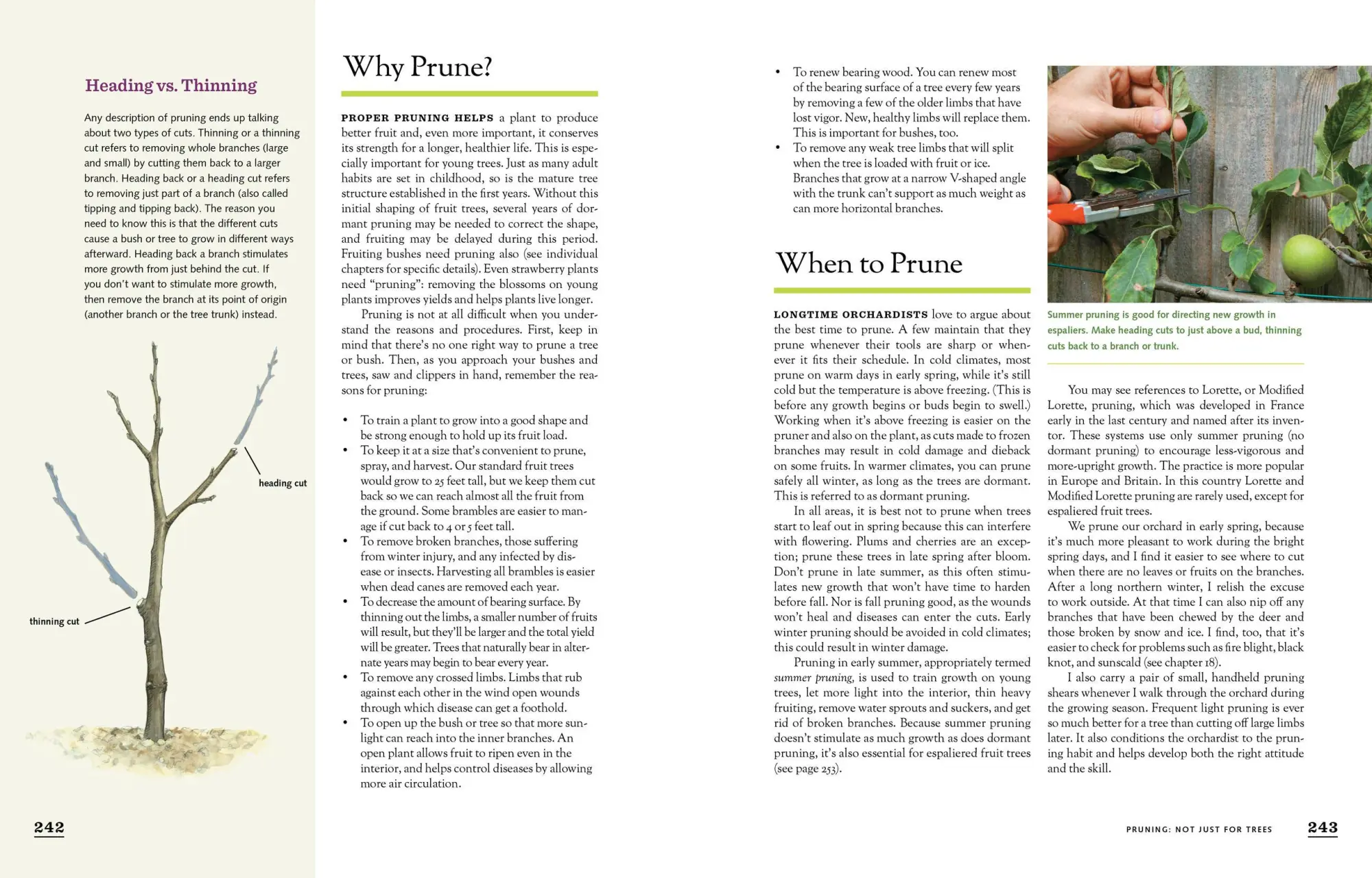 Bild: 9781603425674 | The Fruit Gardener's Bible | Lewis Hill (u. a.) | Taschenbuch | 2011