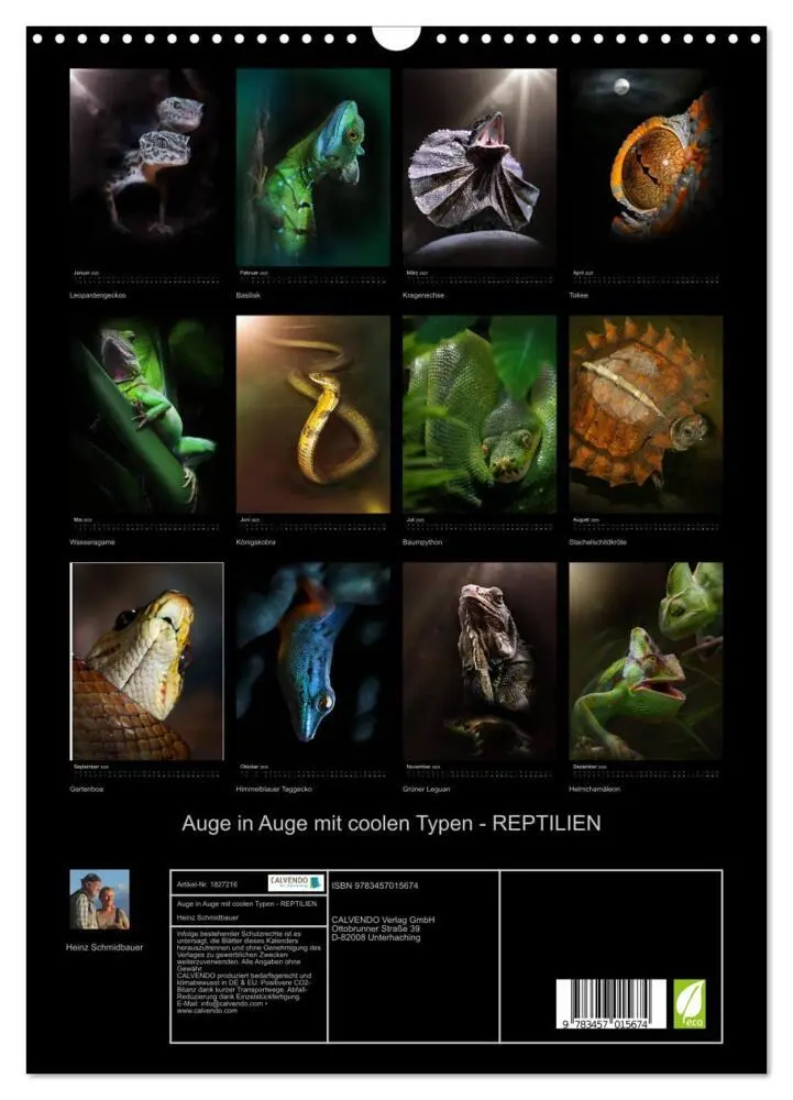 Bild: 9783457015674 | Auge in Auge mit coolen Typen - REPTILIEN (Wandkalender 2025 DIN A3...