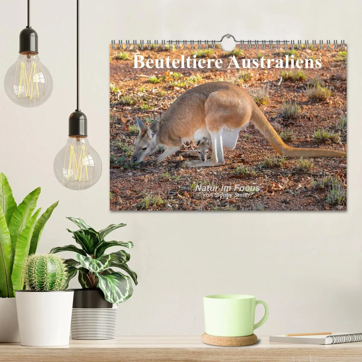 Bild: 9783516105674 | Beuteltiere Australiens (Wandkalender 2026 DIN A4 quer), CALVENDO...